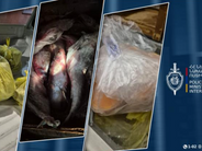 Ջրային պարեկներն ավտոմեքենայում սիգ և ձկնկիթ են հայտնաբերել