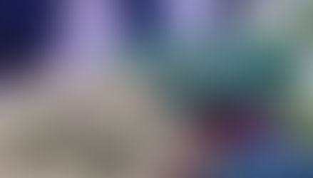 Ի՞նչ անել անցյալ տարի Ծաղկազարդի օրը տուն բերված ուռենու ճյուղերի հետ․ Քահանան պատասխանում է