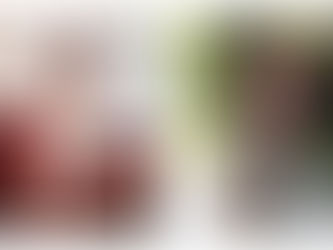 Լոս Անջելեսի թաղամասը, որտեղ ապրում են Քլոե Քարդաշյանն ու Քրիս Ջենները, սպառնում է անսպասելի հայտնված գիշատիչը