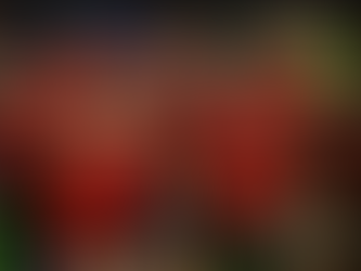 Ռոնալդուն հայտացուցակում է. Պորտուգալիայի հավաքականի հայտացուցակը՝ Հայաստանի դեմ խաղի համար