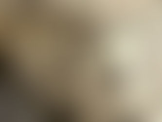 Դոլարն ու եվրոն թանկացել են