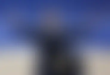 Trump makes DOGE head Elon Musk a 'special government employee' amid accusations of a takeover