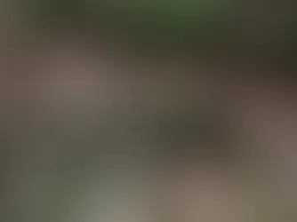 Search teams scour for more than 170 still missing in Texas flooding: Live updates