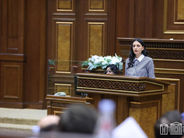 Կալանքի կիրառման մեծաքանակությունը մտահոգիչ է. Անահիտ Մանասյան