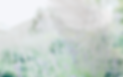 psychic-mediumship-reading.png