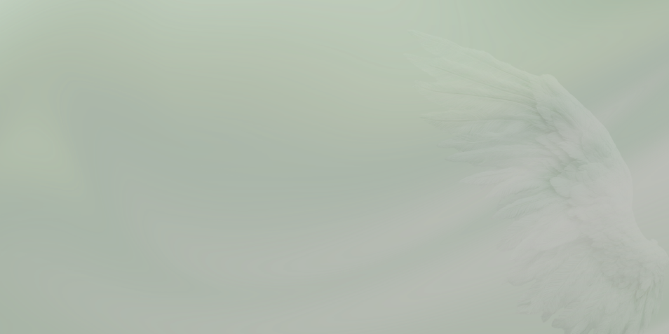 Michelle-Robinson-Psychic-Medium-Background-wings-green.png