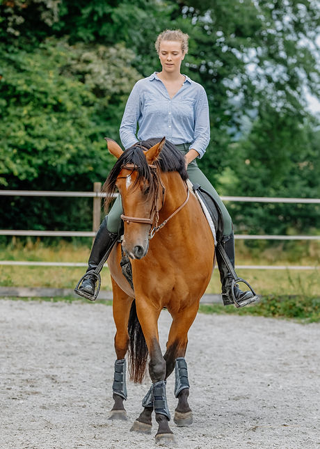 Pferd im Schenkelweichen
