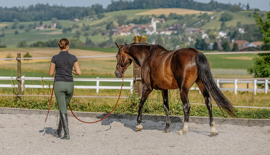 Bodenarbeit