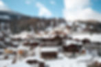 DSCF5388.jpg