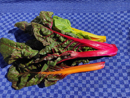 Wie Du Spargel, Mangold und Rhabarber am besten aufbewahrst