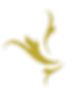 Bild1.png