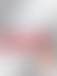 Blog 1