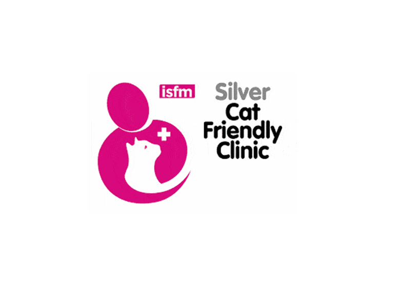 Nos engagements - CatFriendly
