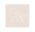 Clinique veterinaire (8)_edited_edited_edited_edited_edited.png