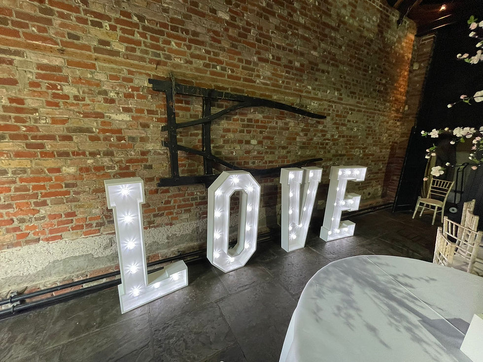 Thumbnail: LOVE Light Up Letters