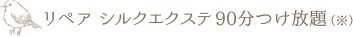 リペア シルクエクステ90分つけ放題(※)