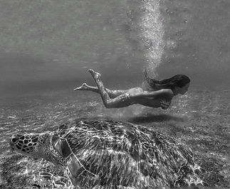 HEEQE4980 (1)_edited.jpg