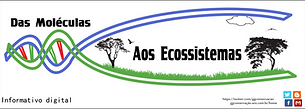 Das Moléculas aos Ecossistemas