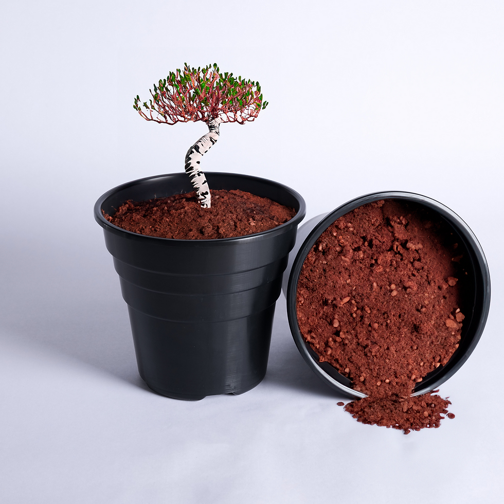 Thumbnail: 12.5cm Black Happy Plant Pots (1L)