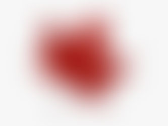 Budget fédéral 2023 : un engagement historique envers la francophonie !