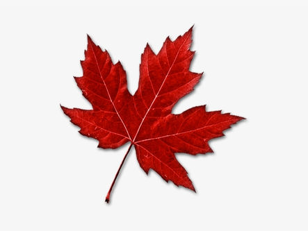 Budget fédéral 2023 : un engagement historique envers la francophonie !