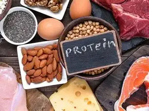 Les protéines : levier clé pour ton métabolisme, ta forme et ta santé