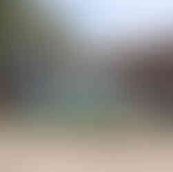 Caseys Halloween decorations