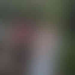 Gym Trailer NDIS Social group fitness