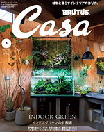 スクリーンショット (249).png