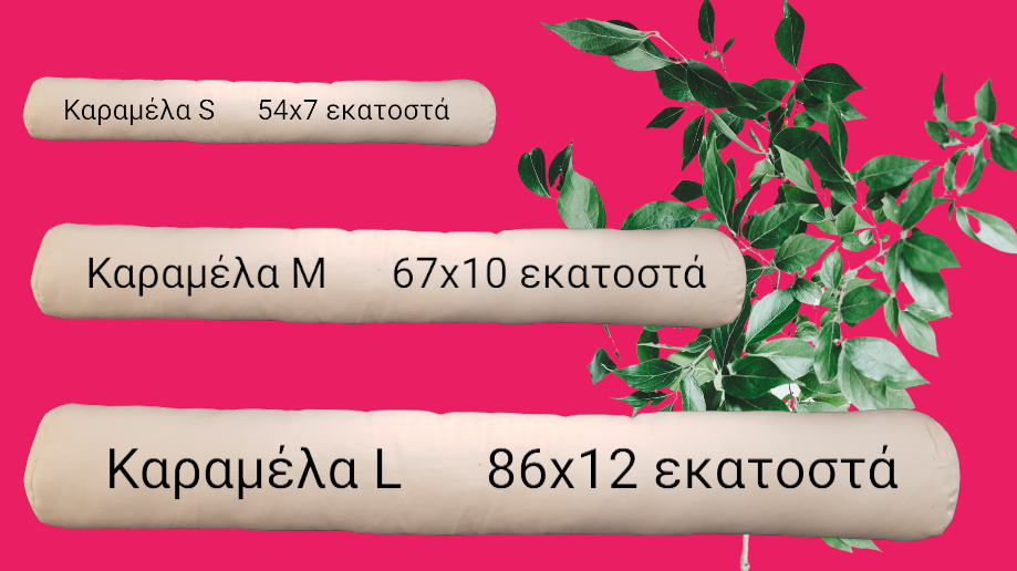 Μικρογραφία: Μαξιλαράκια διακοσμητικά Ζώα του Κόσμου