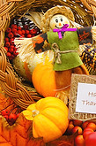 Happy Thanksgiving