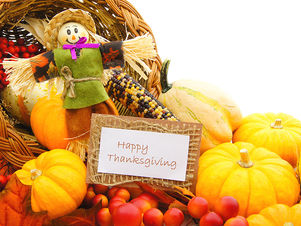 Families celebrate Thanksgiving early at Golisano Autism Center