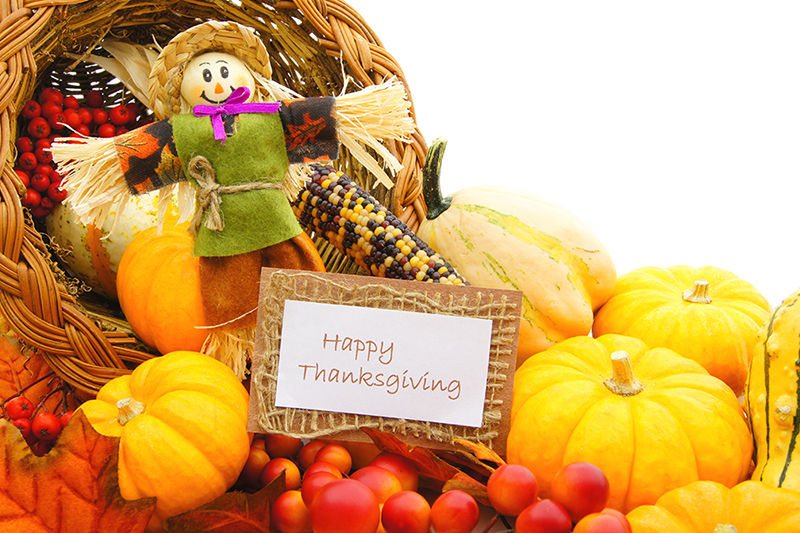 Thanksgiving Display