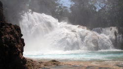 DSCF0317