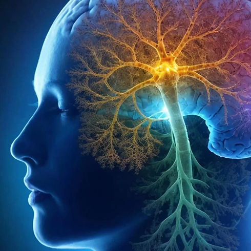 ibogaine-treatment-for-parkinsons-disease-1_edited.jpg