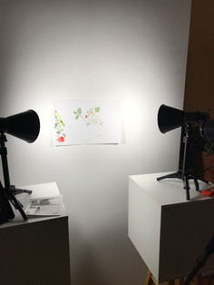 Shot of camera, lights, and wall setup.