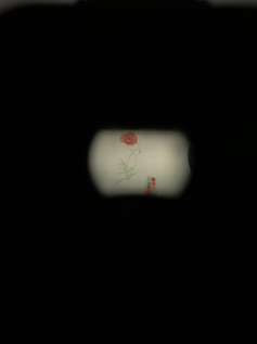 Shot through the camera lense of lights and art setup.