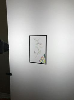 Shot of camera, lights, and wall setup.