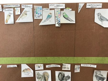 Closeup of my story board.
