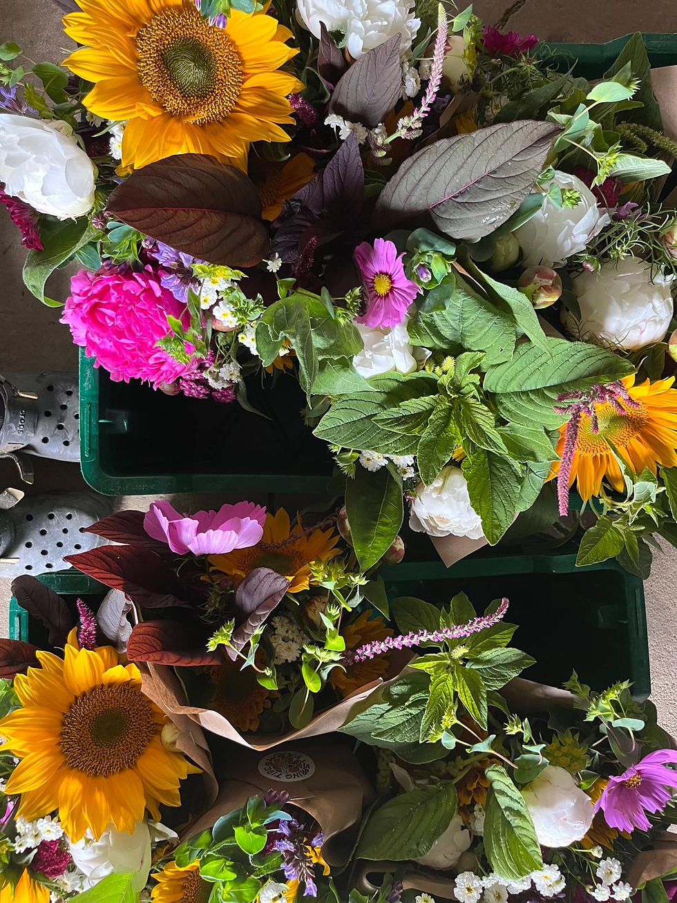Summer Abundance Coming Soon!