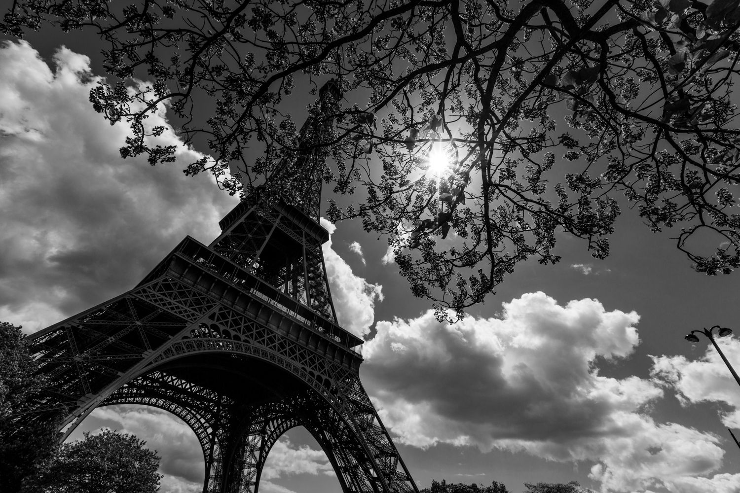 Eifel Tower #2