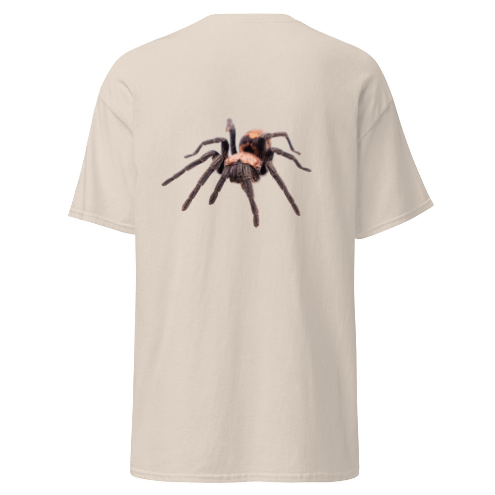 Thumbnail: Davus pentaloris T- Shirt