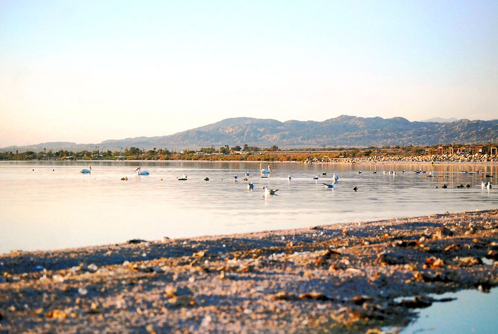 Salton Sea, 2016