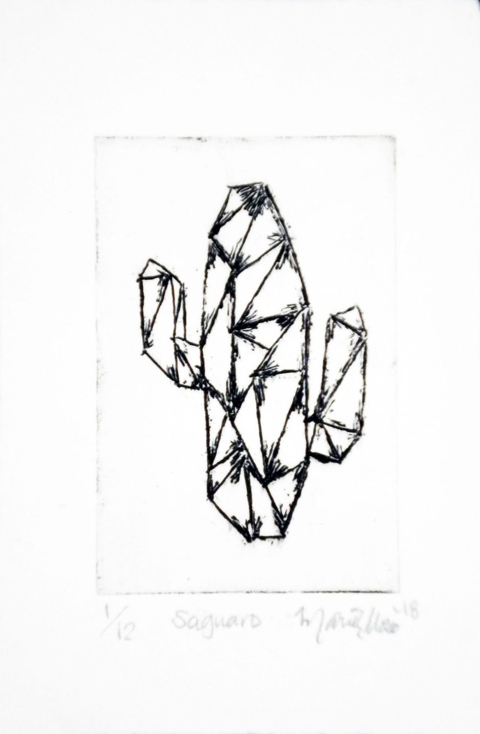 Saguaro, 2018
