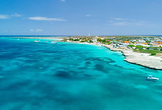ryan Anderson real estate aruba