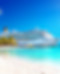 CARIBBEAN_edited.jpg