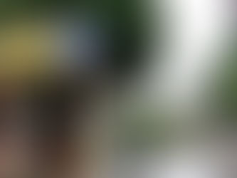 Curso sobre La Retórica Antilógica de Marc Angenot na Uesc