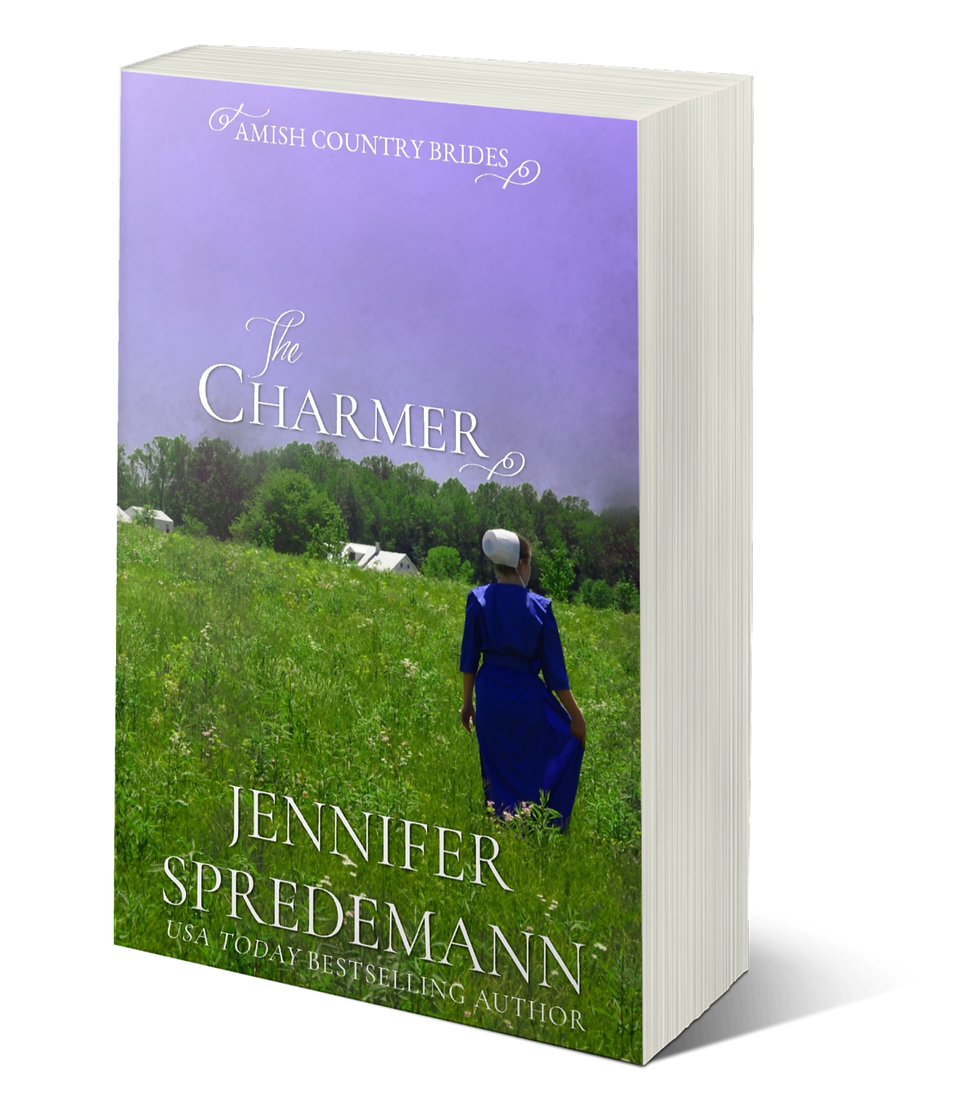 Thumbnail: Amish Country Brides 12-book paperback bundle