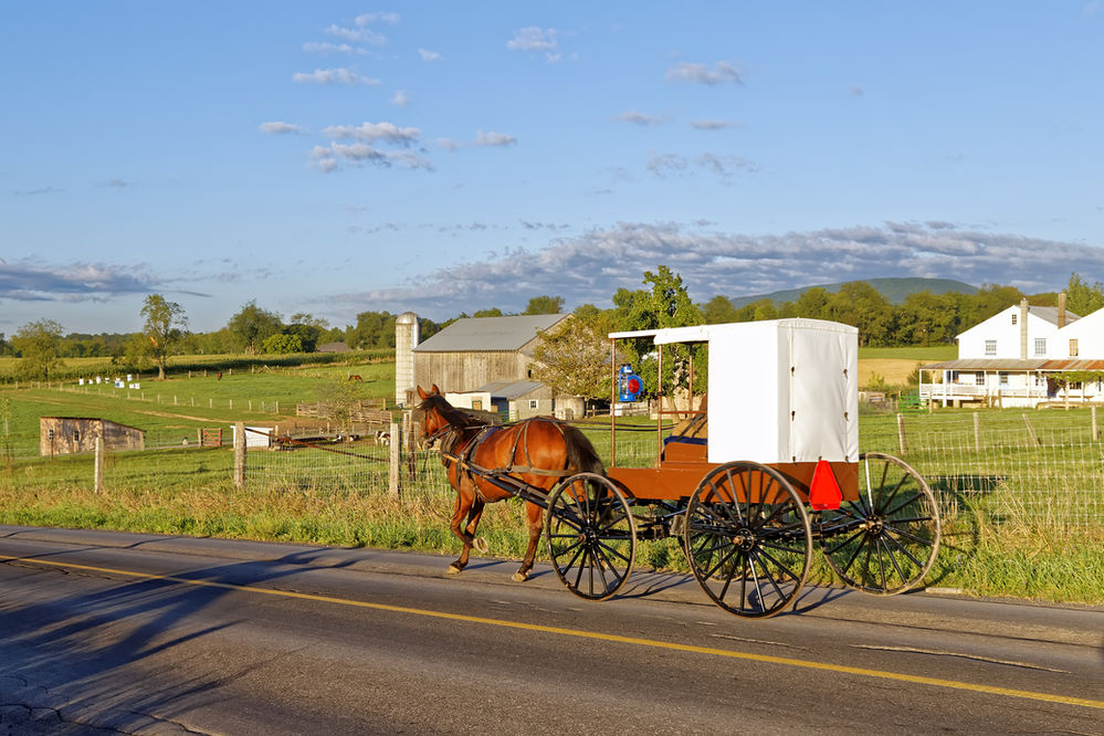 The Nebraska Amish