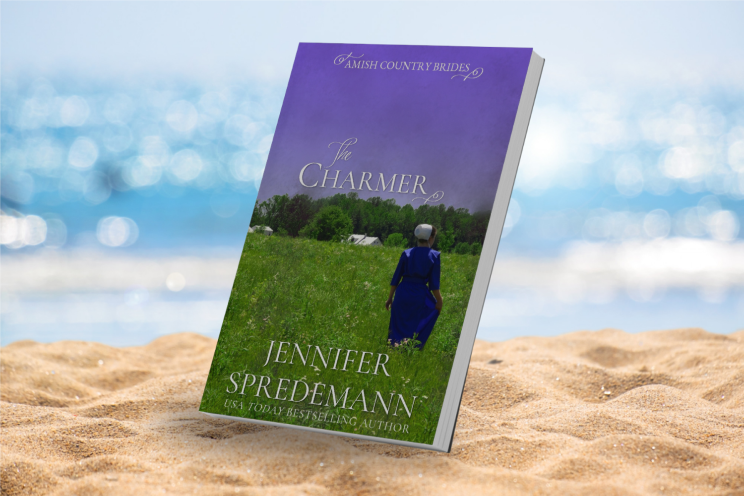 The Charmer (Amish Country Brides) #3 paperback